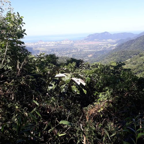 IMG_20210411_205618_256